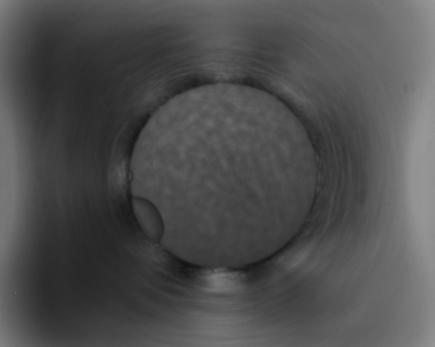 X0000094170336200711161713