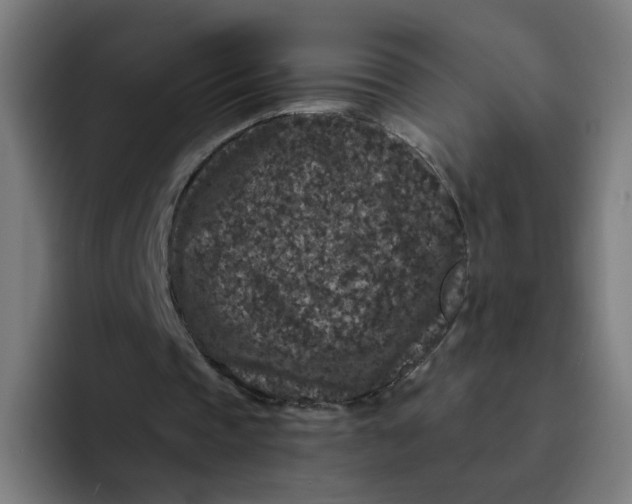 X0000094170337200711161712