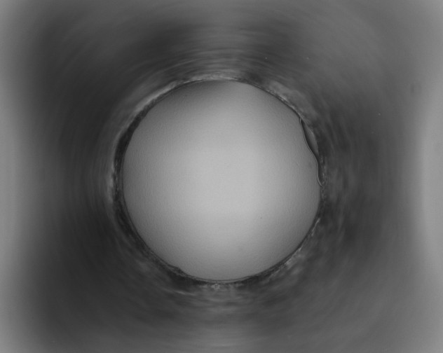 X0000094170338200711161712