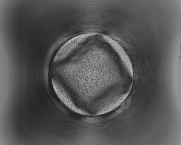 X0000094170341200711161712