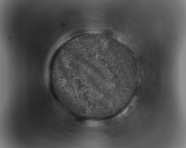 X0000094170343200711161712