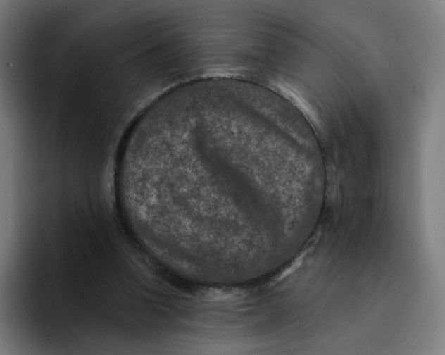 X0000094170346200711161712