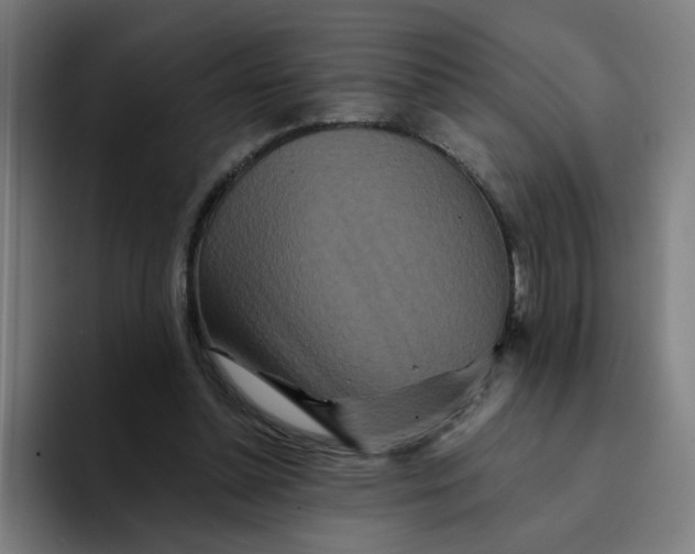 X0000094170348200711161712