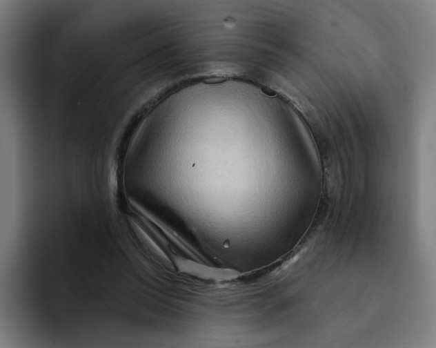 X0000094170350200711161712