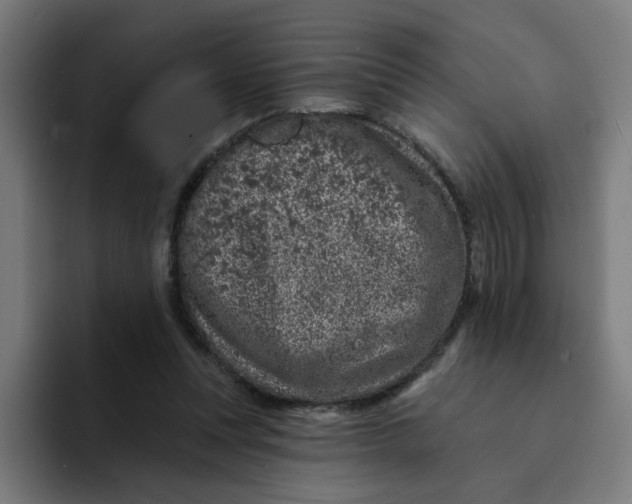 X0000094170351200711161712