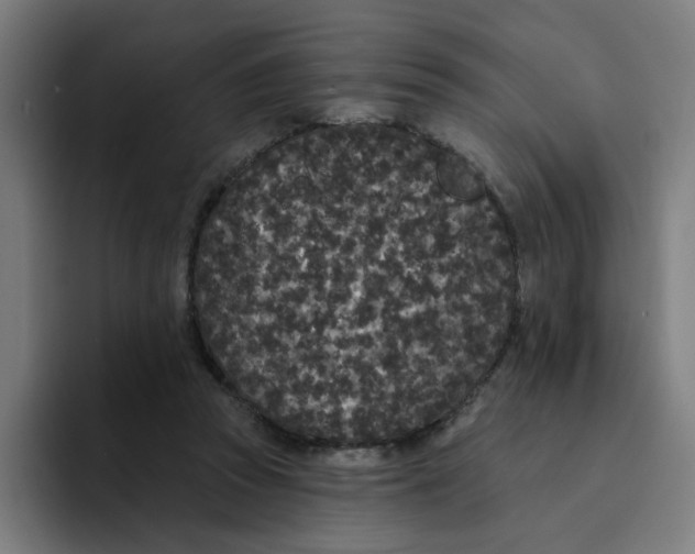 X0000094170353200711161712