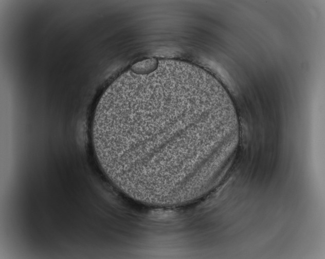 X0000094170354200711161712