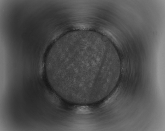 X0000094170355200711161712