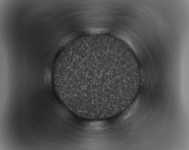 X0000094170357200711161712