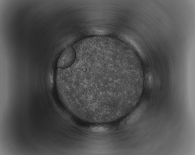 X0000094170358200711161712