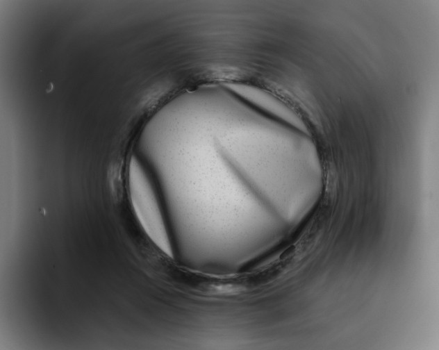 X0000094170360200711161712