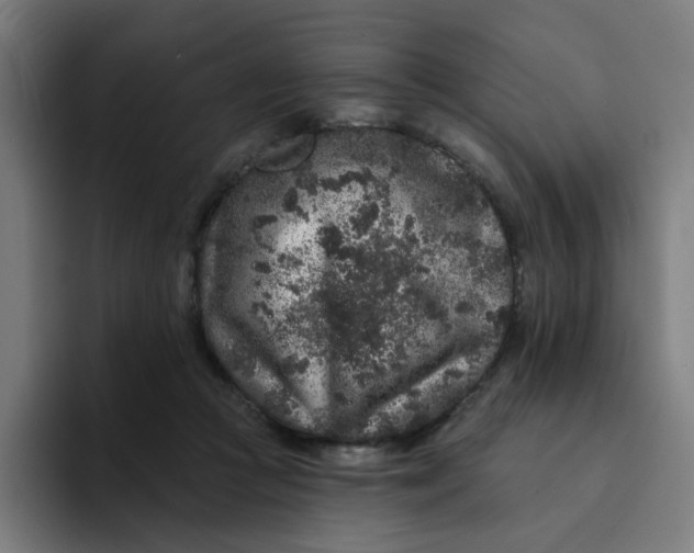 X0000094170361200711161712