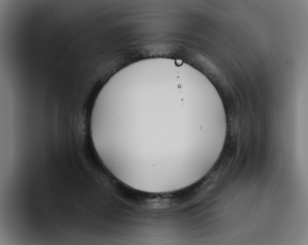 X0000094170362200711161712