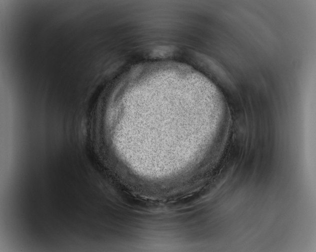 X0000094170363200711161712