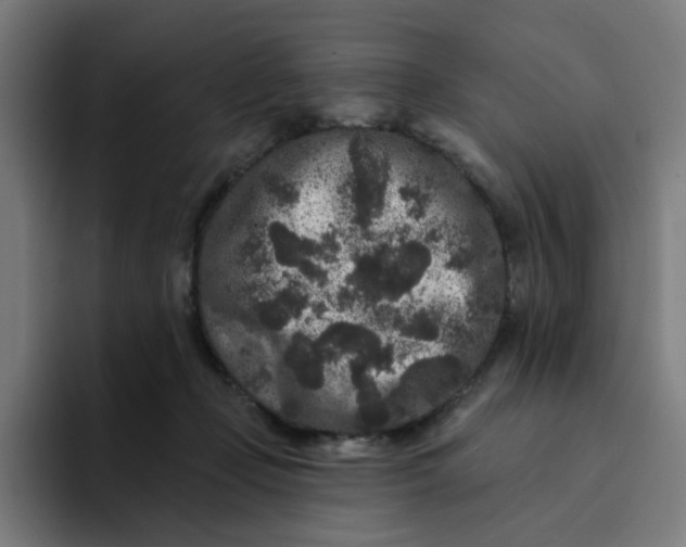 X0000094170365200711161712