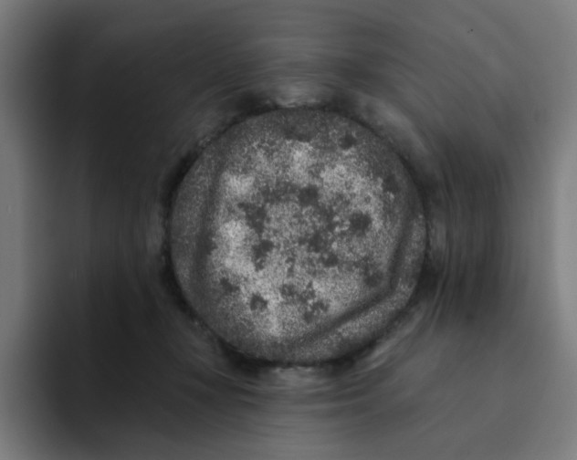 X0000094170367200711161712