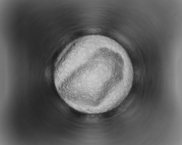 X0000094170373200711161713