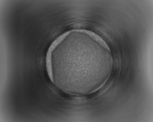 X0000094170375200711161713