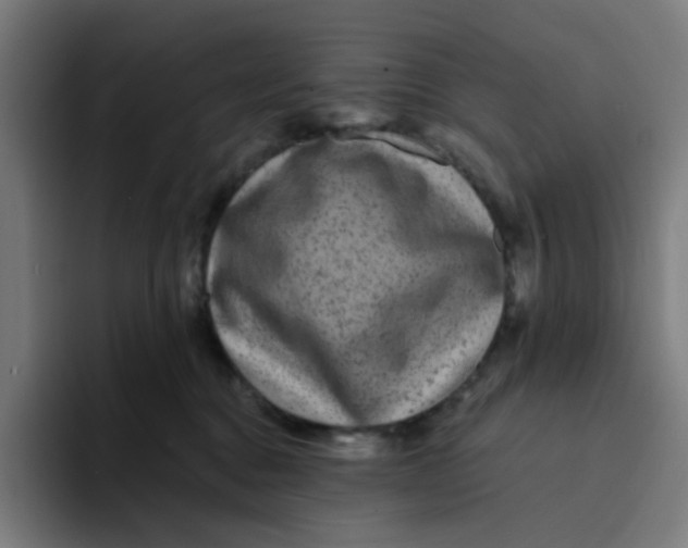 X0000094170376200711161713