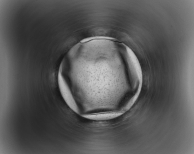 X0000094170378200711161713