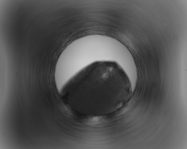 X0000094170382200711161713