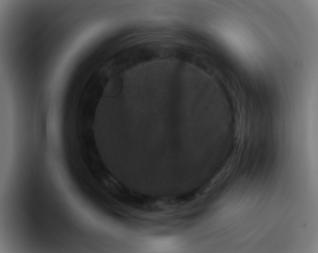 X0000094170383200711161713