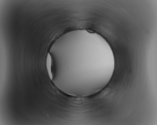 X0000094170384200711161713