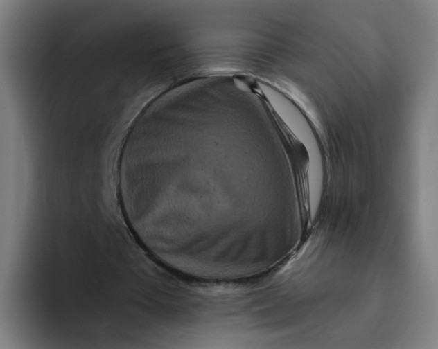 X0000094170385200711161712