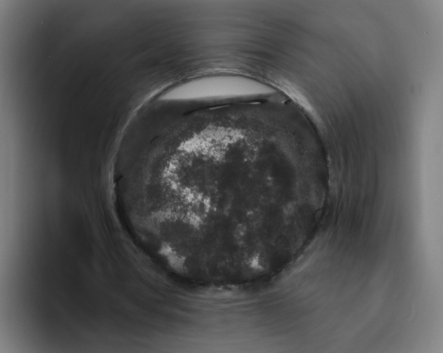 X0000094170386200711161712