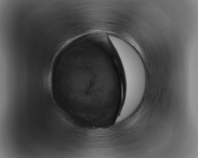 X0000094170387200711161712