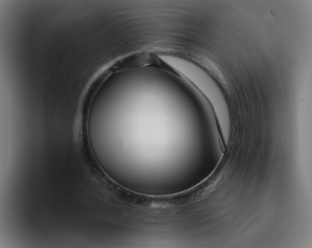 X0000094170388200711161712