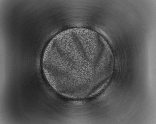 X0000094170394200711161712