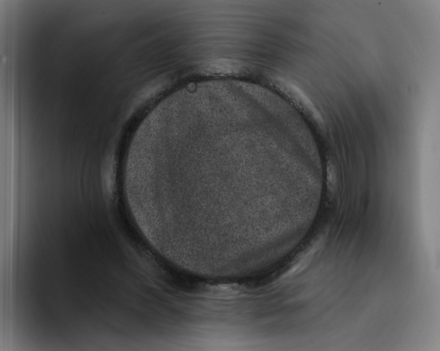 X0000094170396200711161712