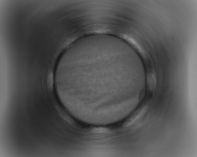 X0000094170397200711161712