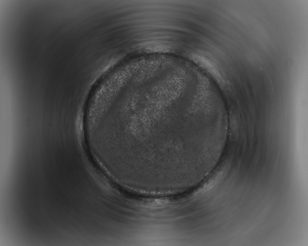 X0000094170398200711161712