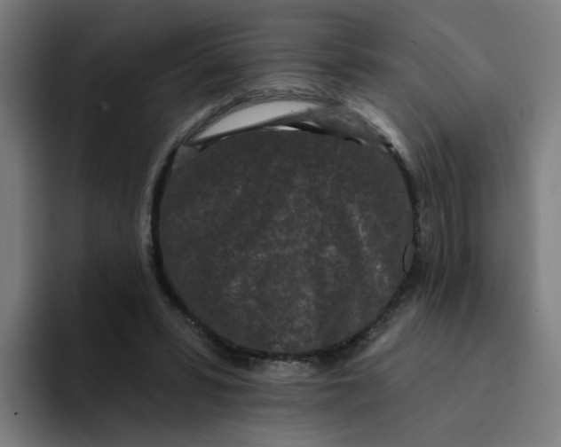 X0000094170399200711161712