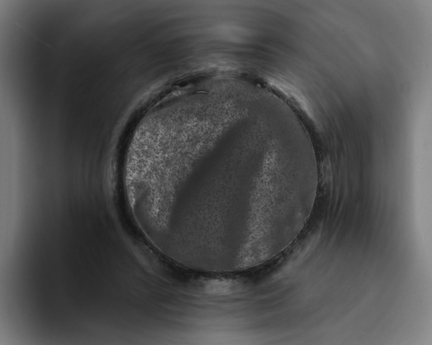 X0000094170400200711161712