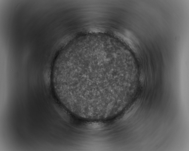 X0000094170402200711161712