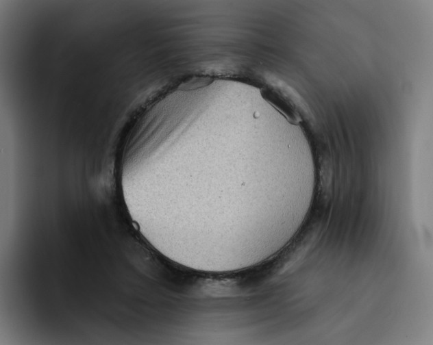 X0000094170403200711161712