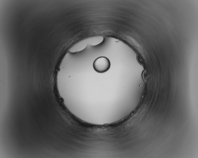 X0000094170405200711161712