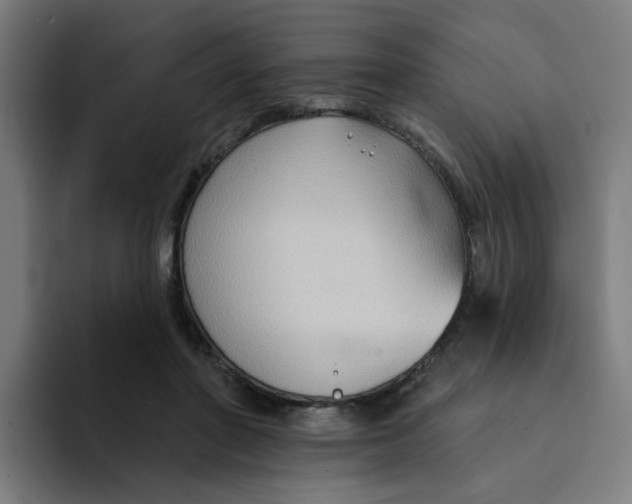 X0000094170406200711161712