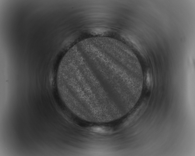 X0000094170408200711161712