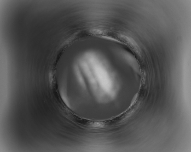 X0000094170409200711161712