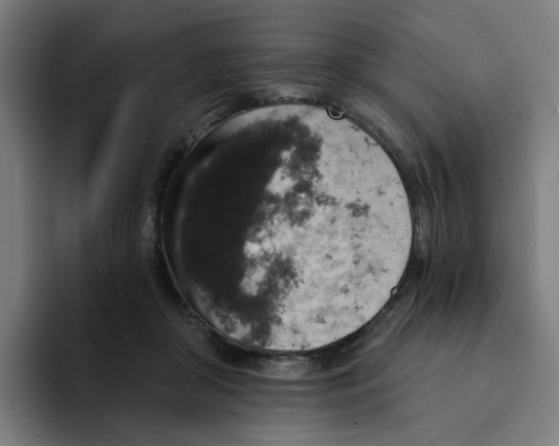 X0000094170410200711161712