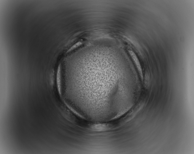 X0000094170413200711161712