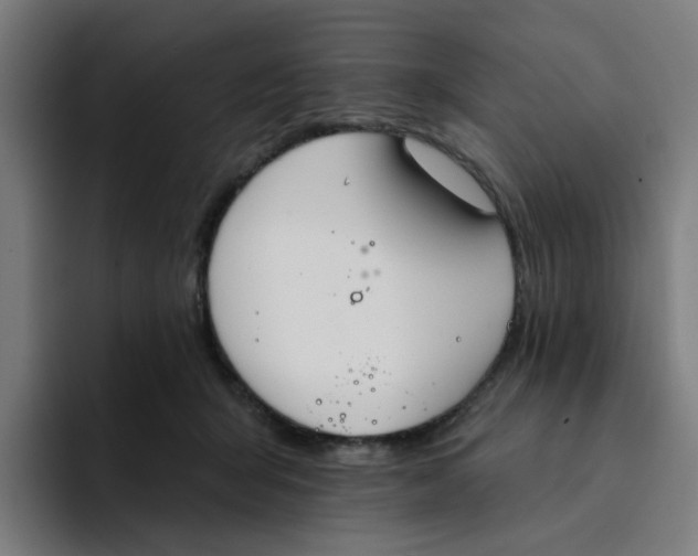 X0000094170415200711161712