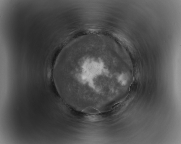 X0000094170417200711161712