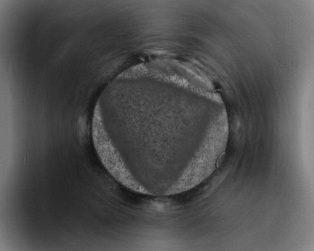 X0000094170420200711161712