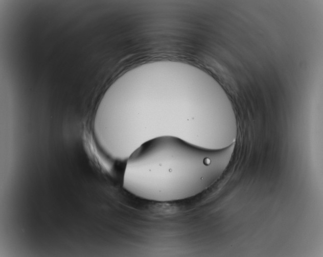 X0000094170421200711161712