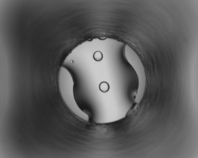 X0000094170423200711161712